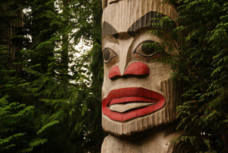 Preservation Through Biocultural Diversity Image